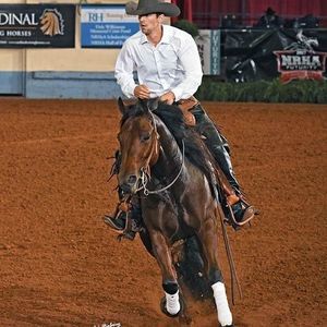 Meet your Posher, Patrick